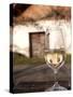 Glass of White Wine (Riesling) at Wine Cellar, Village of Vlkos, Brnensko, Czech Republic, Europe-Richard Nebesky-Stretched Canvas