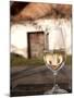 Glass of White Wine (Riesling) at Wine Cellar, Village of Vlkos, Brnensko, Czech Republic, Europe-Richard Nebesky-Mounted Photographic Print