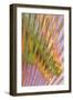 Glass Patterns I-Kathy Mahan-Framed Photographic Print