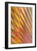 Glass Patterns II-Kathy Mahan-Framed Photographic Print