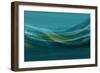 Glass Smoke-null-Framed Art Print