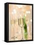 Glasses of Sparkling Wine with Twinkling Lights-Brigitte Protzel-Framed Stretched Canvas