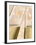 Glasses of Sparkling Wine with Twinkling Lights-Brigitte Protzel-Framed Photographic Print