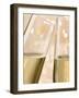 Glasses of Sparkling Wine with Twinkling Lights-Brigitte Protzel-Framed Photographic Print