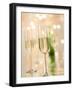 Glasses of Sparkling Wine with Twinkling Lights-Brigitte Protzel-Framed Photographic Print