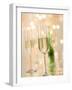 Glasses of Sparkling Wine with Twinkling Lights-Brigitte Protzel-Framed Photographic Print