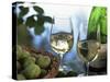 Glasses of White Wine on Table With River Relected in Glass, Loire, France, Europe-John Miller-Stretched Canvas