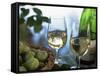 Glasses of White Wine on Table With River Relected in Glass, Loire, France, Europe-John Miller-Framed Stretched Canvas