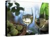 Glasses of White Wine on Table With River Relected in Glass, Loire, France, Europe-John Miller-Stretched Canvas