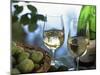 Glasses of White Wine on Table With River Relected in Glass, Loire, France, Europe-John Miller-Mounted Photographic Print