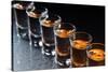 Glasses with an Alcoholic Drink-igorr-Stretched Canvas
