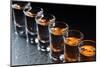 Glasses with an Alcoholic Drink-igorr-Mounted Photographic Print