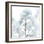 Glassy Ginko-Albert Koetsier-Framed Photographic Print