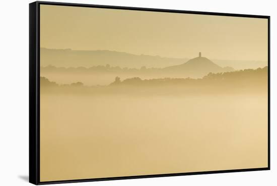 Glastonbury Tor and surrounding hills rising above early morning mist, Glastonbury, Somerset-Stuart Black-Framed Stretched Canvas