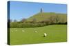 Glastonbury Tor Hill Somerset England-acceleratorhams-Stretched Canvas