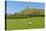 Glastonbury Tor Hill Somerset England-acceleratorhams-Stretched Canvas