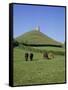 Glastonbury Tor, Somerset, England, United Kingdom-Philip Craven-Framed Stretched Canvas