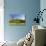 Glastonbury Tor, Somerset, England-acceleratorhams-Photographic Print displayed on a wall