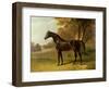 'Glaucus'-John Frederick Herring I-Framed Giclee Print