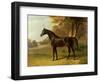 'Glaucus'-John Frederick Herring I-Framed Giclee Print