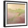 Gleaming Plains-Barbara Bilotta-Framed Art Print