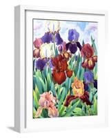 Glemsford Irises-Christopher Ryland-Framed Giclee Print