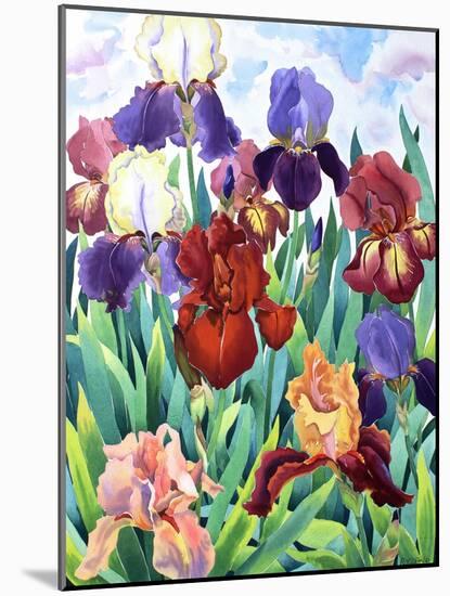 Glemsford Irises-Christopher Ryland-Mounted Giclee Print