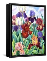 Glemsford Irises-Christopher Ryland-Framed Stretched Canvas