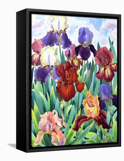 Glemsford Irises-Christopher Ryland-Framed Stretched Canvas