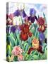 Glemsford Irises-Christopher Ryland-Stretched Canvas