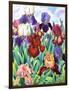 Glemsford Irises-Christopher Ryland-Framed Giclee Print