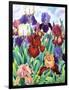 Glemsford Irises-Christopher Ryland-Framed Giclee Print