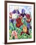 Glemsford Irises-Christopher Ryland-Framed Giclee Print