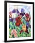 Glemsford Irises-Christopher Ryland-Framed Giclee Print