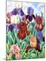 Glemsford Irises-Christopher Ryland-Mounted Giclee Print