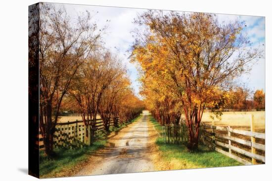 Glen Allen Farm III-Alan Hausenflock-Stretched Canvas