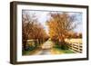 Glen Allen Farm III-Alan Hausenflock-Framed Photographic Print