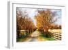 Glen Allen Farm III-Alan Hausenflock-Framed Photographic Print