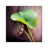 Garden Leaf-Glen and Gayle Wans-Giclee Print