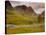 Glen Coe (Glencoe), Highlands Region, Scotland, UK, Europe-John Miller-Stretched Canvas