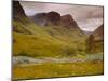 Glen Coe (Glencoe), Highlands Region, Scotland, UK, Europe-John Miller-Mounted Premium Photographic Print