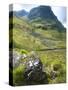 Glen Coe, South of Fort William, Scotlish Highlands, Scotland, United Kingdom, Europe-Andrew Stewart-Stretched Canvas