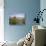 Glen Etive, Highlands Region, Scotland, UK, Europe-Roy Rainford-Stretched Canvas displayed on a wall