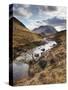 Glen Etive, Near Glen Coe (Glencoe), Highland Region, Scotland, United Kingdom, Europe-Patrick Dieudonne-Stretched Canvas