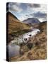 Glen Etive, Near Glen Coe (Glencoe), Highland Region, Scotland, United Kingdom, Europe-Patrick Dieudonne-Stretched Canvas