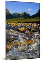 Glen Etive-Charles Bowman-Mounted Photographic Print