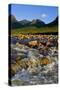 Glen Etive-Charles Bowman-Stretched Canvas