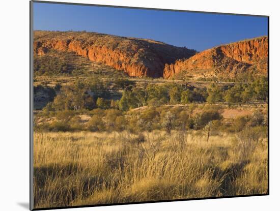 Glen Helen Gorge, West Macdonnell National Park, Northern Territory, Australia, Pacific-Schlenker Jochen-Mounted Photographic Print