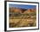 Glen Helen Gorge, West Macdonnell National Park, Northern Territory, Australia, Pacific-Schlenker Jochen-Framed Photographic Print