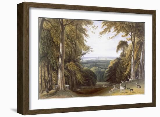 Glen in Windsor Park Near Bishops Gate, from 'Views of Windsor, Eton and Virginia Water', C.1827-30-William Daniell-Framed Giclee Print